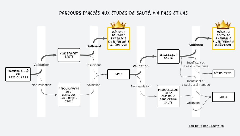 parcours d'accès aux études de santé via pass et las